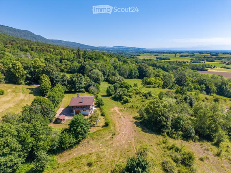Aerial view of a single-story house with a red-tiled roof, surrounded by lush greenery and trees, with a scenic mountain backdrop.