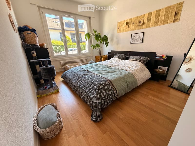 Cozy bedroom with wooden flooring, large window, bed with patterned bedding, cat tree, cat bed, nightstand, mirror, and decorative artwork.
