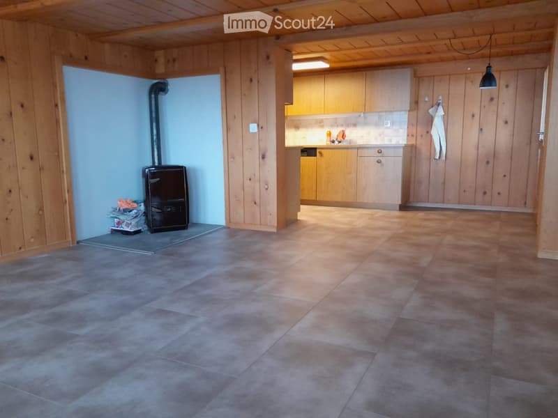 A spacious room with wooden walls and a tiled floor, featuring a kitchen area with wooden cabinets and a counter, a fireplace, and a towel hanging on the wall.