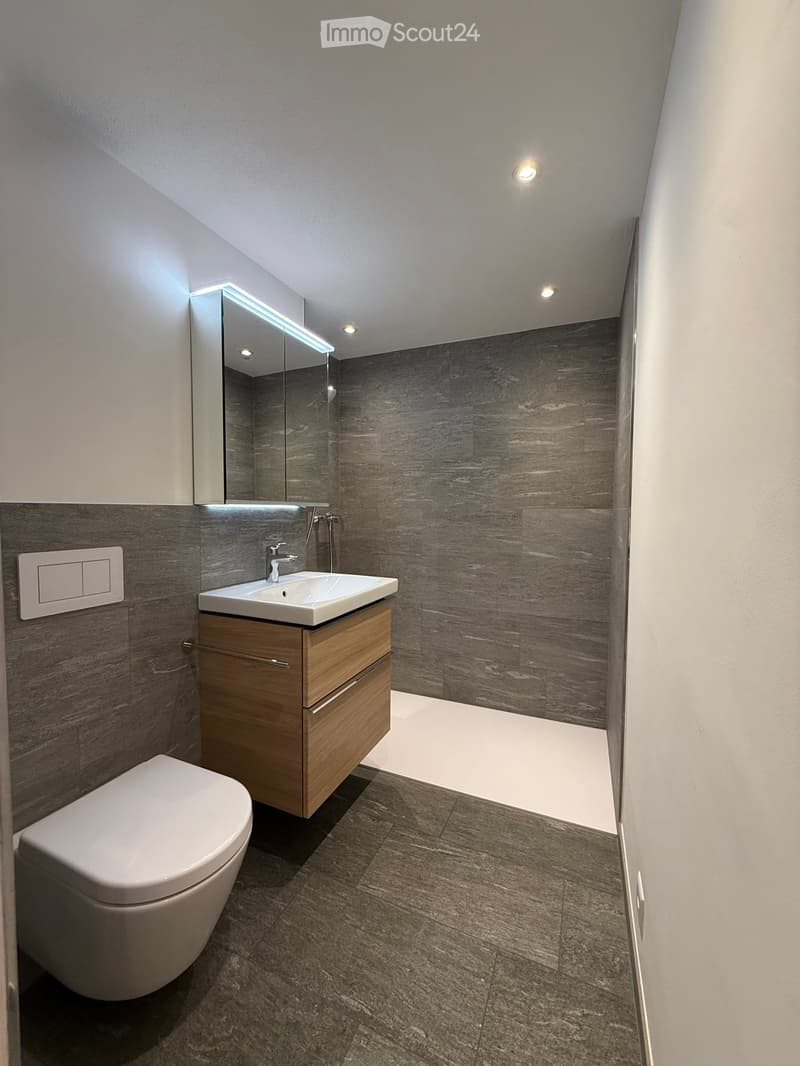 Modern bathroom with dark grey tiles, a white toilet, a wooden sink cabinet, and a large mirror with LED lighting.