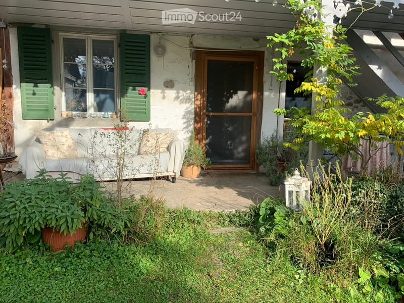 Garden area with a white sofa, potted plants, and a wooden door leading to a house with green shutters.