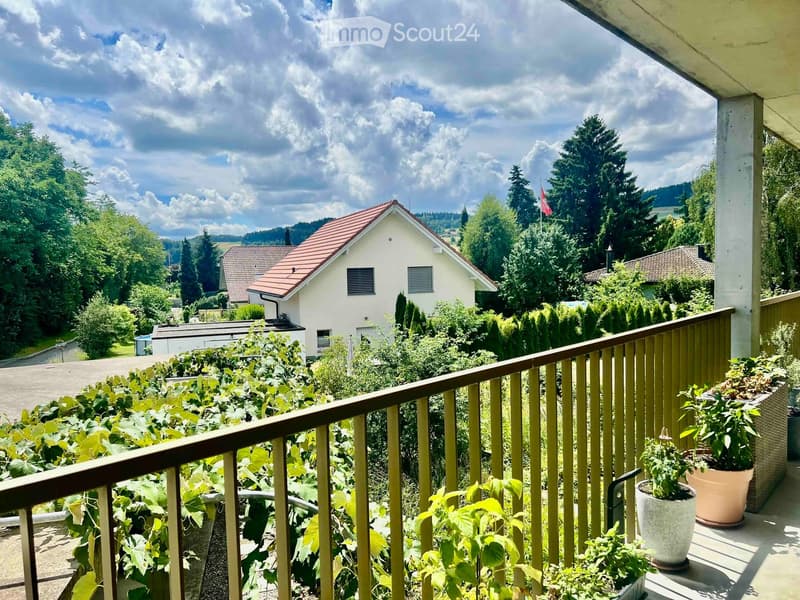 Balcony with wooden railing, potted plants, and a view of a residential area with houses, trees, and a clear sky.