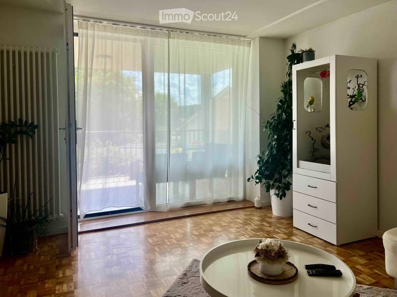 Modern living room with wooden flooring, large sliding glass door leading to a balcony, white cabinet with drawers, coffee table with a plant centerpiece, and remote controls on the table.