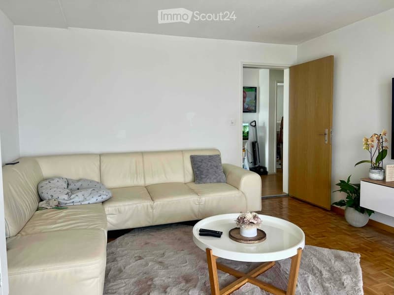 A modern living room with a light-colored leather sofa, a round glass coffee table, a fluffy rug, and a potted plant near the wall. A doorway leads to another room with a TV and vacuum cleaner visible.