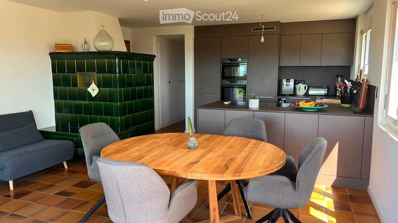 A modern, open-plan living and dining area with a grey sofa, a round wooden dining table with four chairs, a kitchen area with grey cabinets, an oven, microwave, and various kitchen utensils, and a decorative green-tiled fireplace.