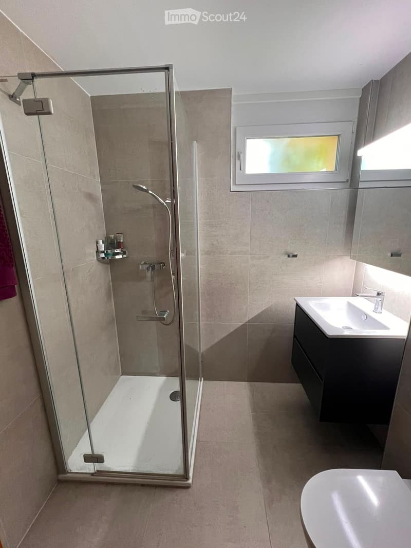 Modern bathroom with a glass-enclosed shower, a white bathtub, a sink with a dark cabinet, and a window providing natural light.