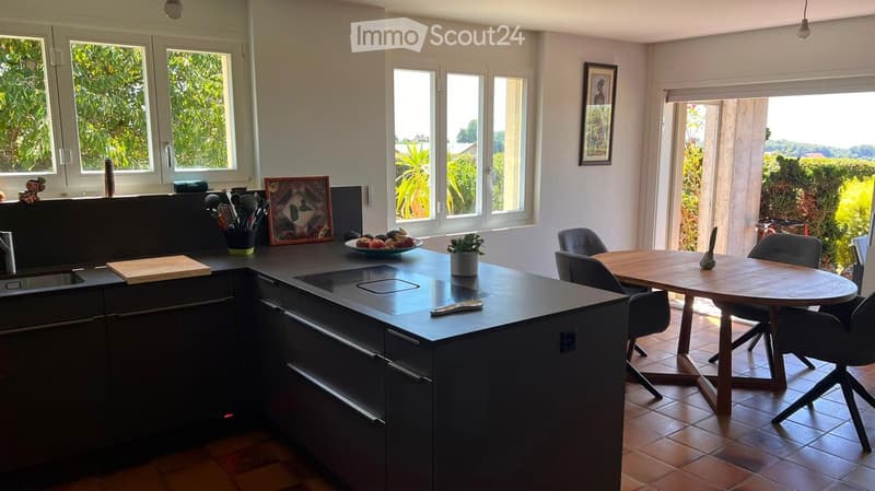 Modern kitchen with dark grey cabinets, central island, sink, and dining area. Features include a wooden dining table with chairs, a bowl of fruit, a potted plant, and framed artwork on the walls.