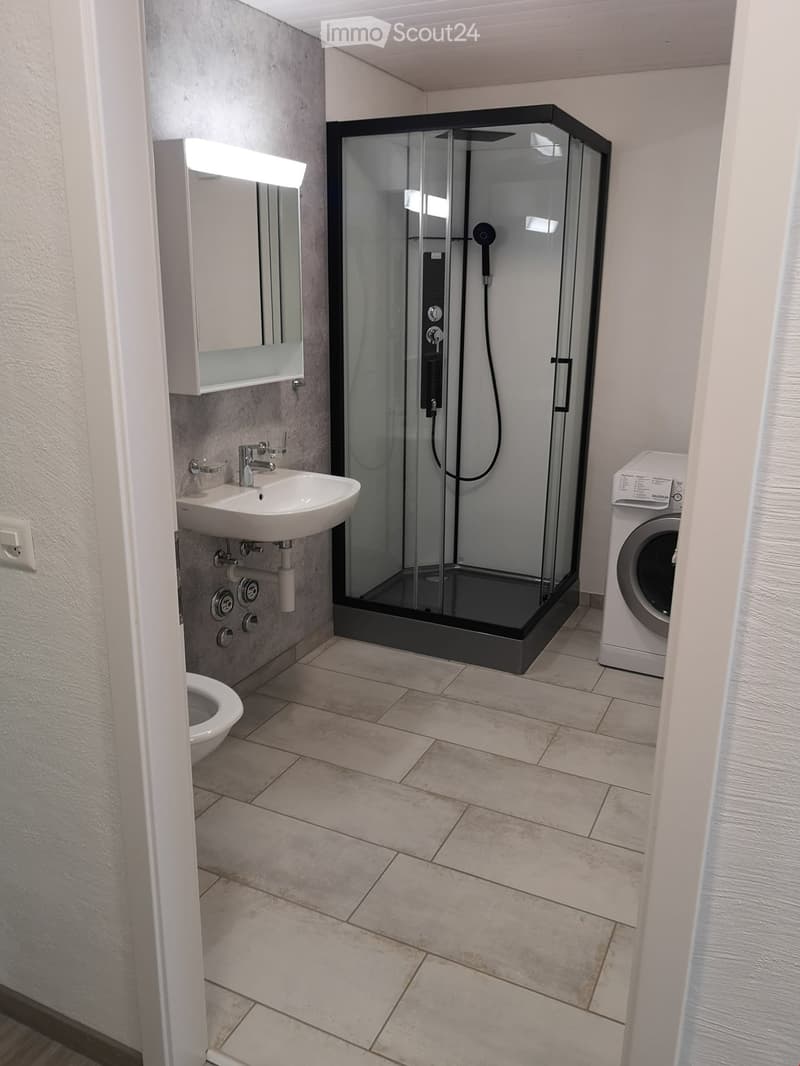 Modern bathroom with a glass-enclosed shower, sink, toilet, mirror, and a washing machine in the corner.