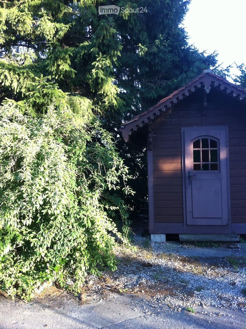 A small wooden shed with a grey door and window, surrounded by greenery and gravel ground.