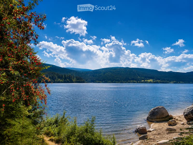 A serene lake surrounded by lush green trees and distant mountains under a bright blue sky with scattered clouds. The foreground features a sandy shore with scattered rocks and a bush with red flowers.