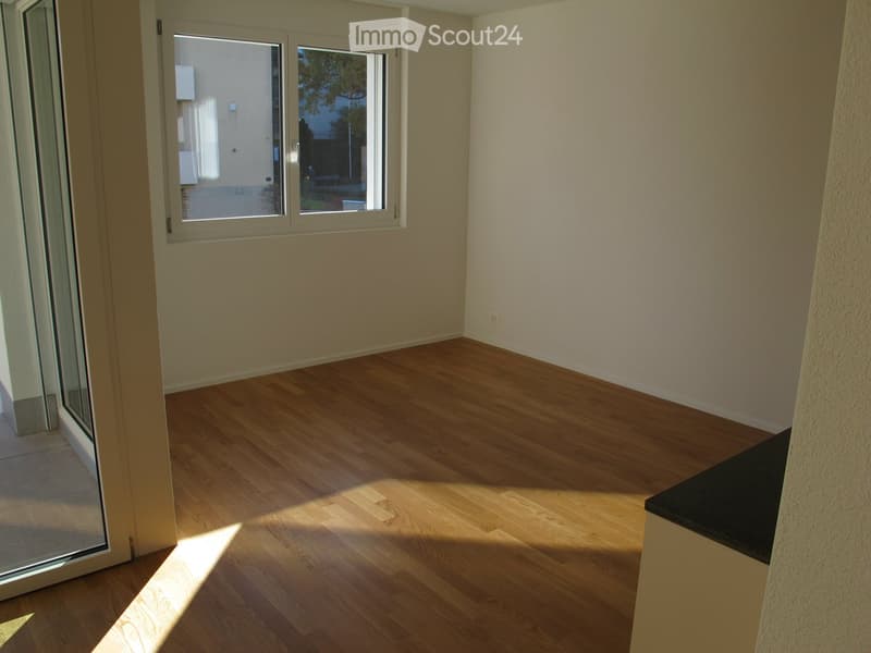 empty room with wooden floor, sliding door, windows