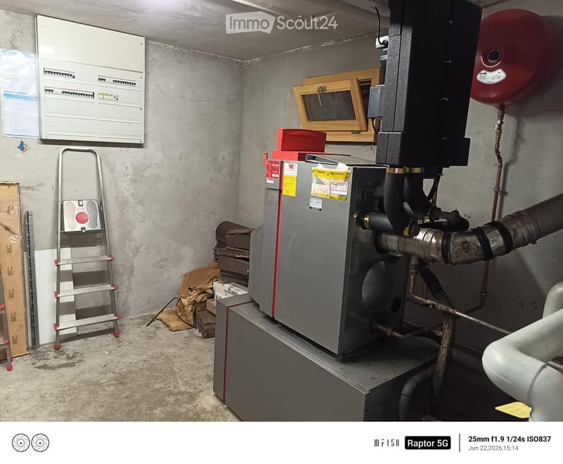 Utility room with heating system, electrical panel, ladder, and various pipes and equipment.