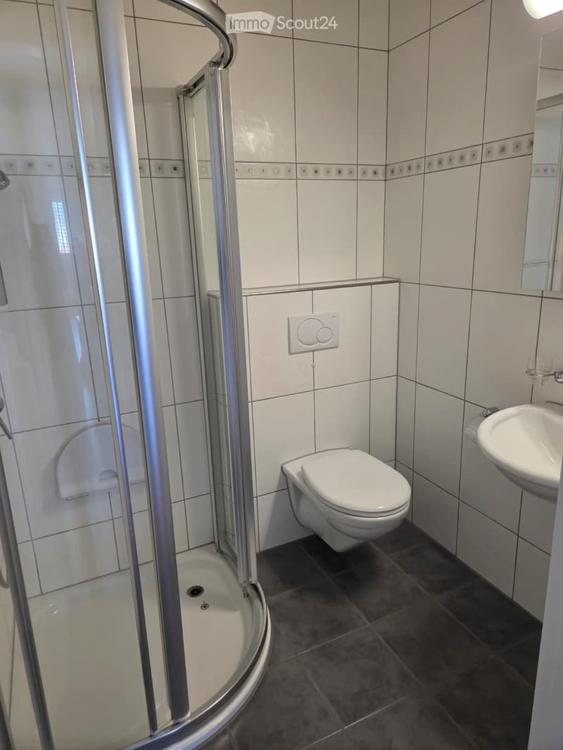 Modern bathroom with white tiles, a glass-enclosed shower, a toilet, and a sink.