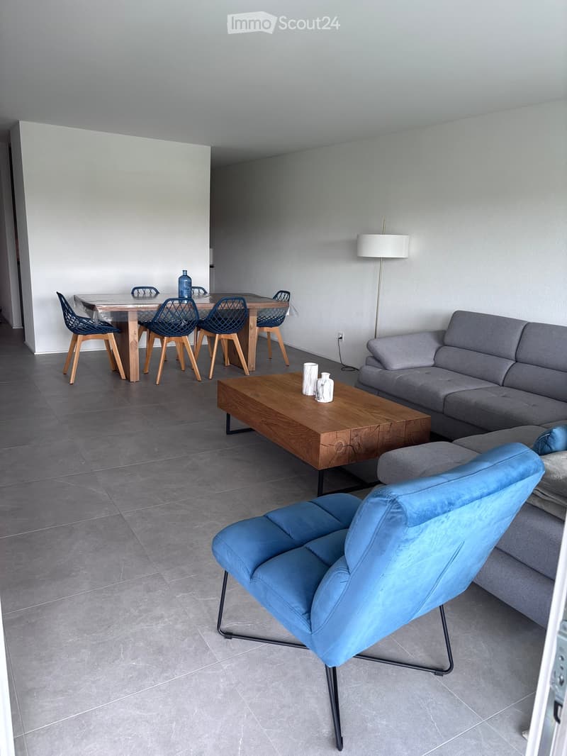 Modern living and dining area with grey sofa, blue armchair, wooden coffee table, dining table with chairs, and decorative vases.