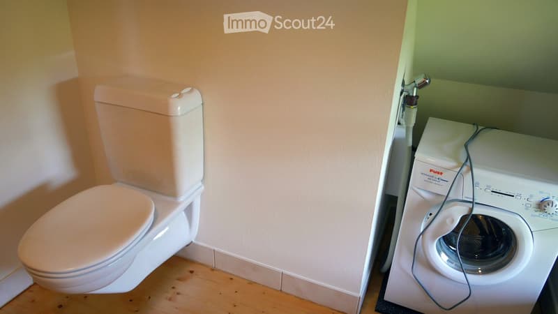 Large renovated attic apartment / loft (approx. 100 m2) with special charm (approx. 15 minutes from Steffisburg) (17)