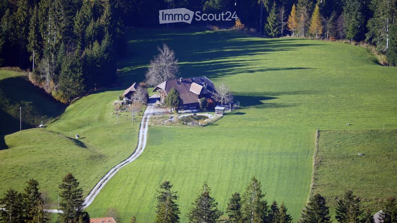 Large renovated attic apartment / loft (approx. 100 m2) with special charm (approx. 15 minutes from Steffisburg) (19)