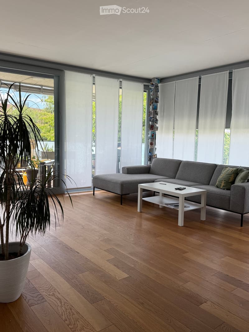 Modern living room with wooden flooring, grey sectional sofa, white coffee table, and large windows with blinds. A tall potted plant is placed near the window.
