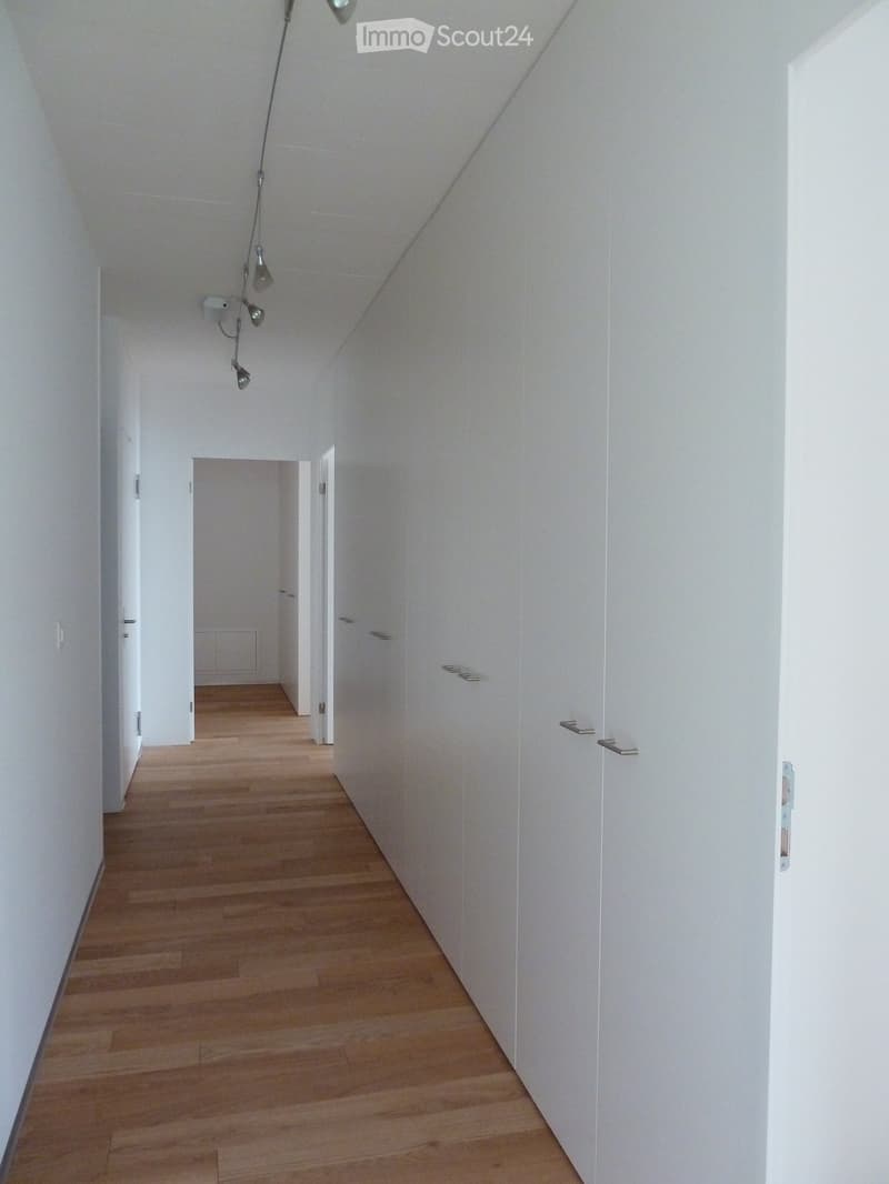 Empty hallway with white walls, wooden flooring, and modern lighting fixtures.