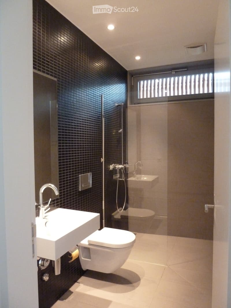Modern bathroom with dark tiled walls, white fixtures, and a glass-enclosed shower area.