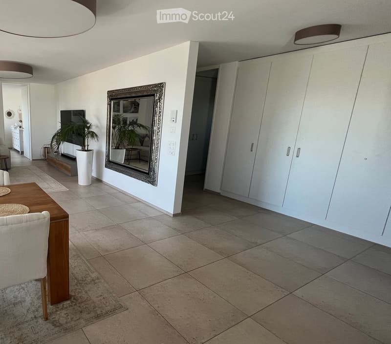Modern dining area with a wooden table, white chairs, large mirror, potted plants, and a television in the background.