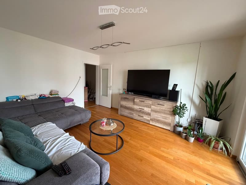 Modern living room with wooden flooring, grey sectional sofa, glass coffee table, flat-screen TV on a wooden cabinet, and several potted plants.
