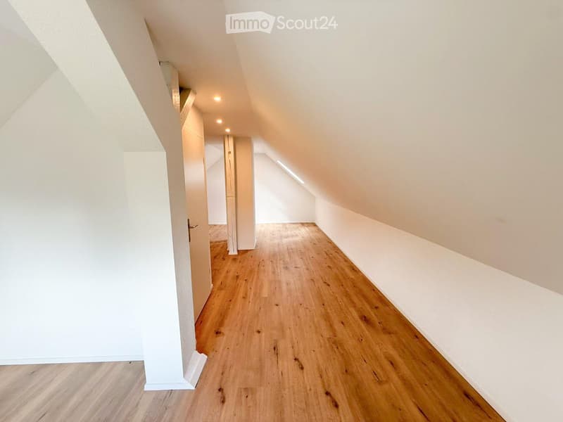 Empty attic corridor with wooden flooring, white walls, and exposed beams. Natural light from skylights illuminates the space.