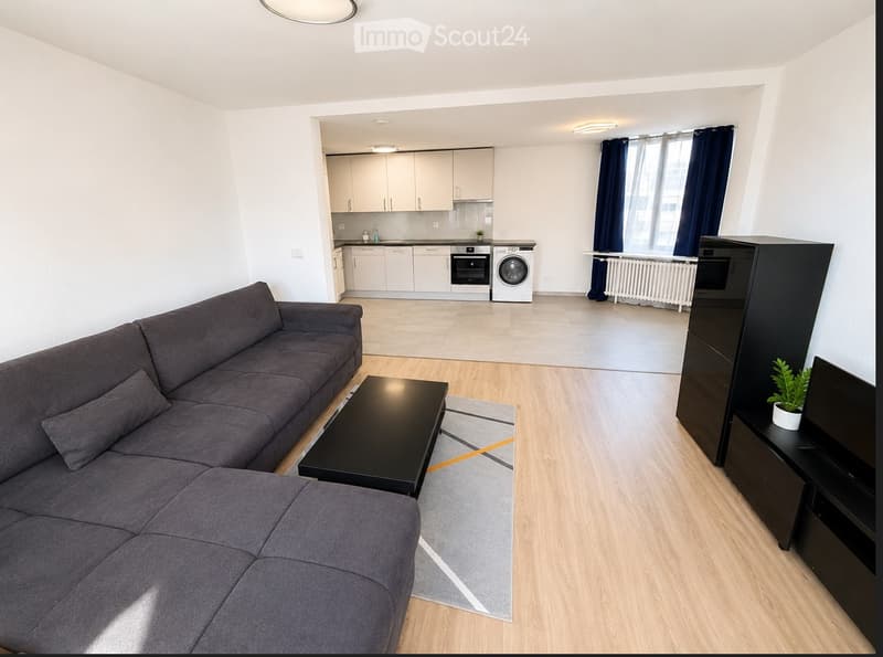 Modern living room with grey sectional sofa, black coffee table, TV stand, and a small kitchen area with white cabinets, oven, and washing machine.