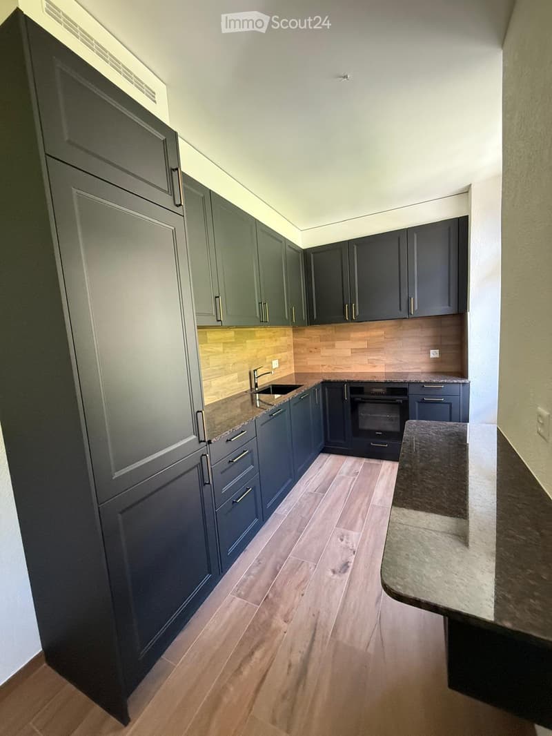 Modern kitchen with dark grey cabinets, light wooden flooring, and a granite countertop. Features a sink, oven, and built-in storage.