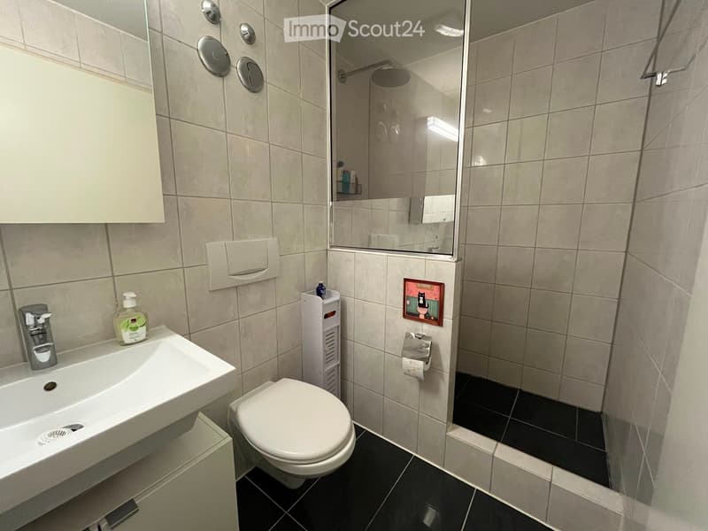 Modern bathroom with a white sink, toilet, shower, and mirror. Features tiled walls, a small cabinet, and a picture frame on the wall.