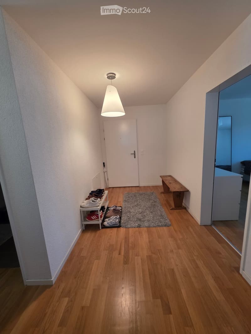 Bright hallway with wooden flooring, white walls, a hanging pendant light, a small bench, a shoe rack, and a rug.