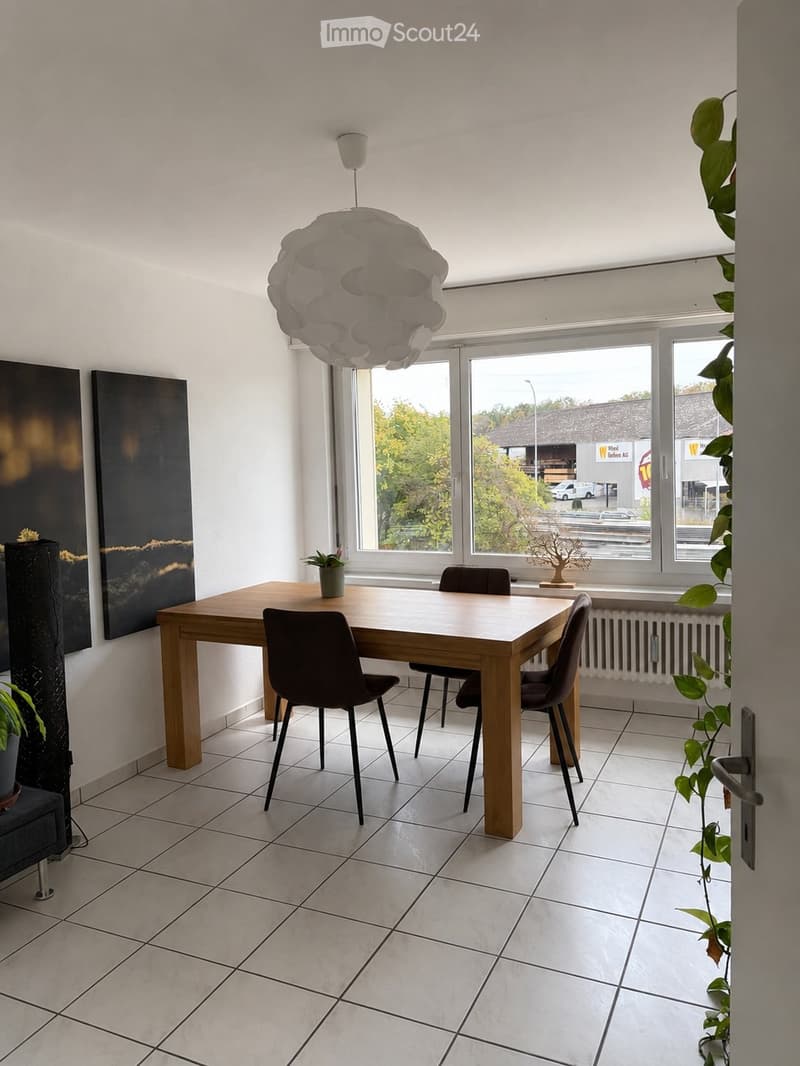 Bright dining area with a wooden table, four chairs, potted plants, artwork on the wall, and a modern hanging light fixture.