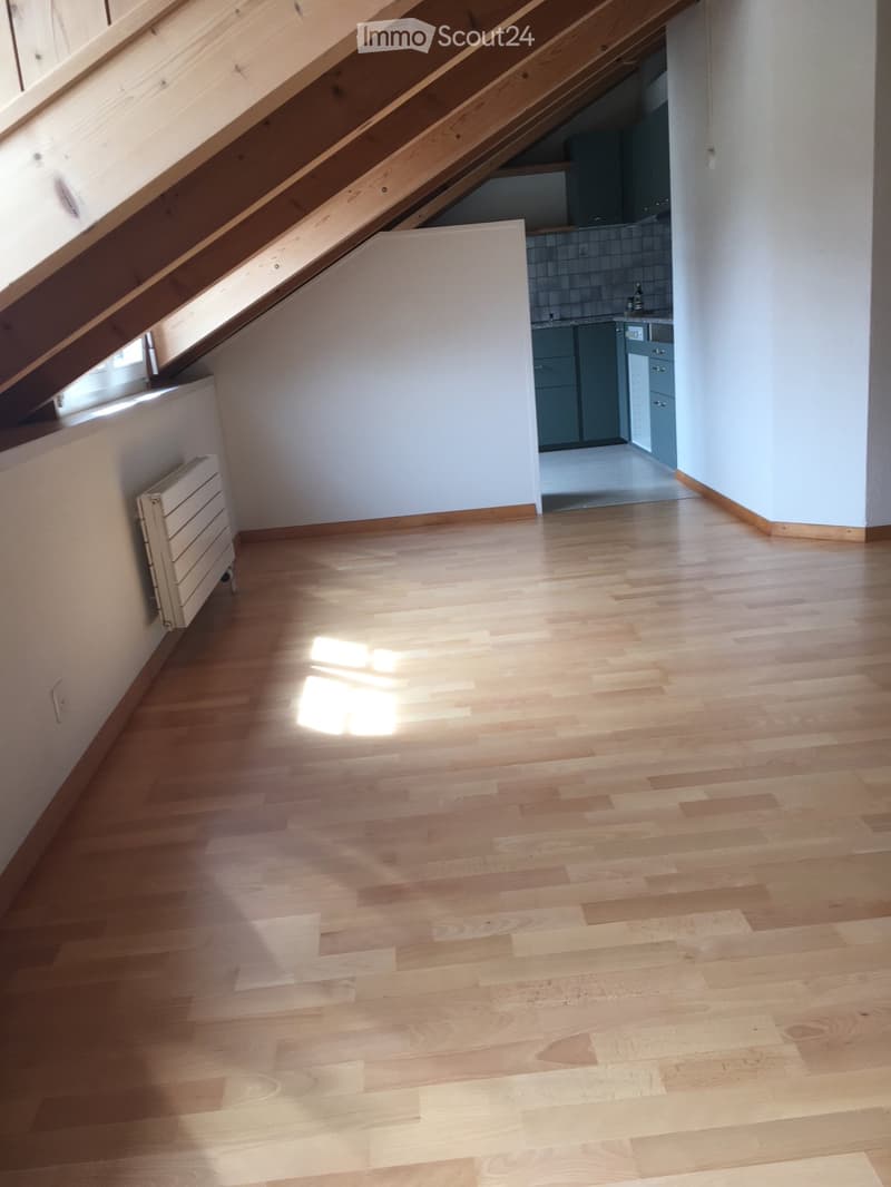Empty attic space with wooden flooring, white walls, and exposed wooden beams. Natural light streams in from a skylight, and a radiator is visible on the left side.