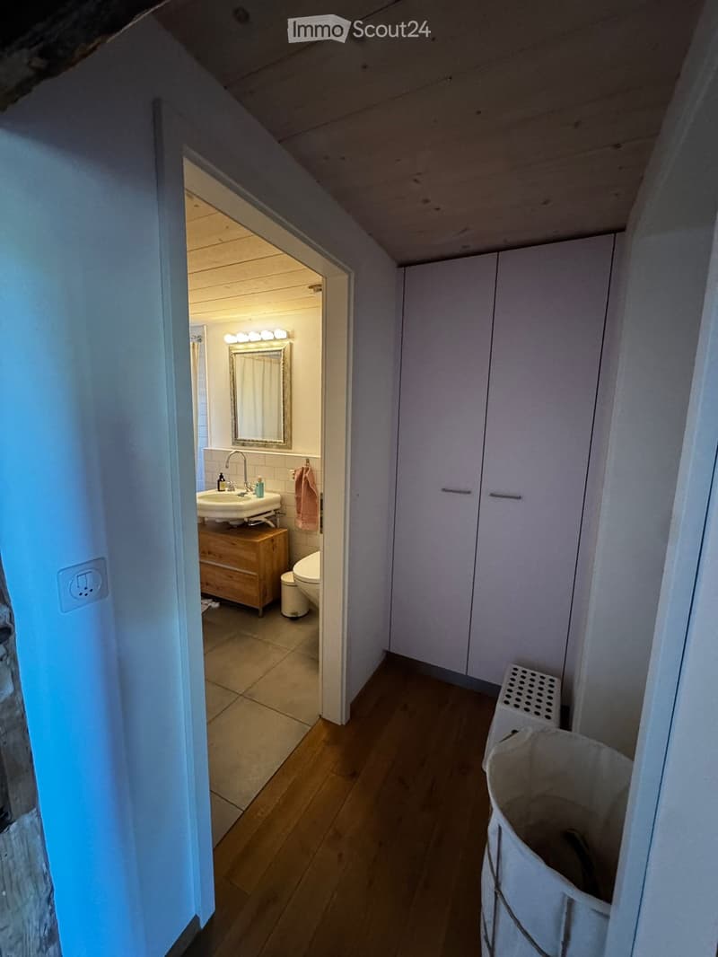 A narrow hallway with wooden flooring leads to a small bathroom. The bathroom features a sink, mirror, and toilet, with a wooden cabinet and a towel hanging on the wall.