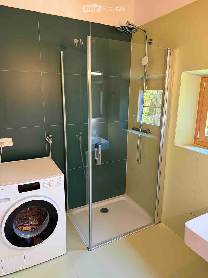 Modern bathroom with a glass-enclosed shower, washing machine, and a sink. The shower features a modern showerhead and a glass door, while the walls are tiled in dark green and light beige.