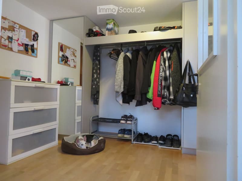 Well-organized closet space with a dog bed, wardrobe, shoe rack, and storage drawers.