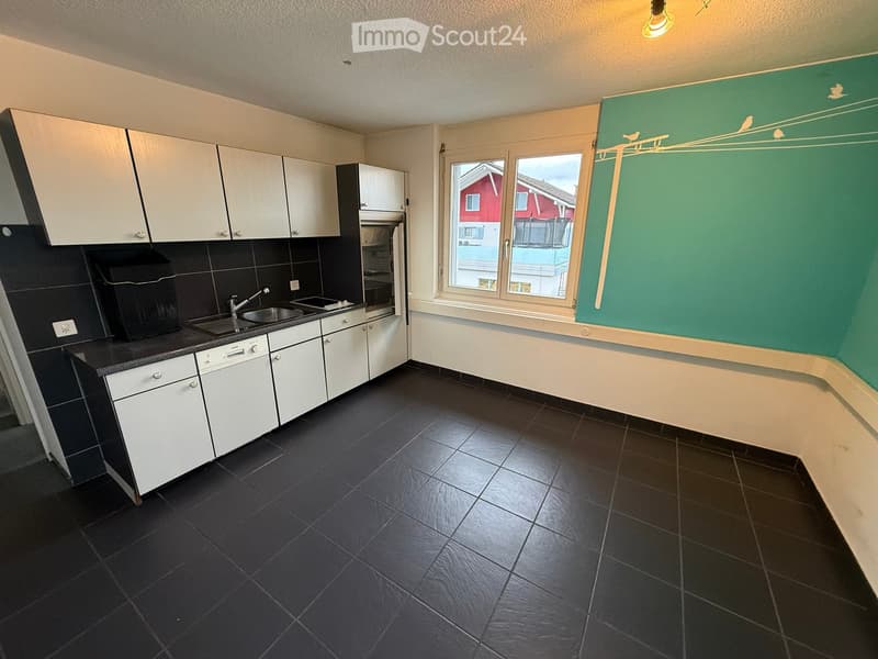 modern, fully equipped kitchen with countertop, dishwasher, washing machine, large sink, cabinets, window with view