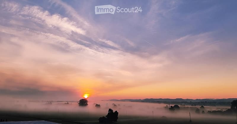 A serene rural landscape at sunrise, with misty fields, scattered trees, and a small structure in the distance.