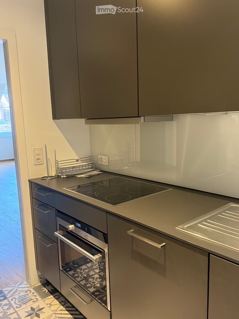Modern kitchen with grey cabinets, induction cooktop, built-in oven, and a dish rack on the counter.