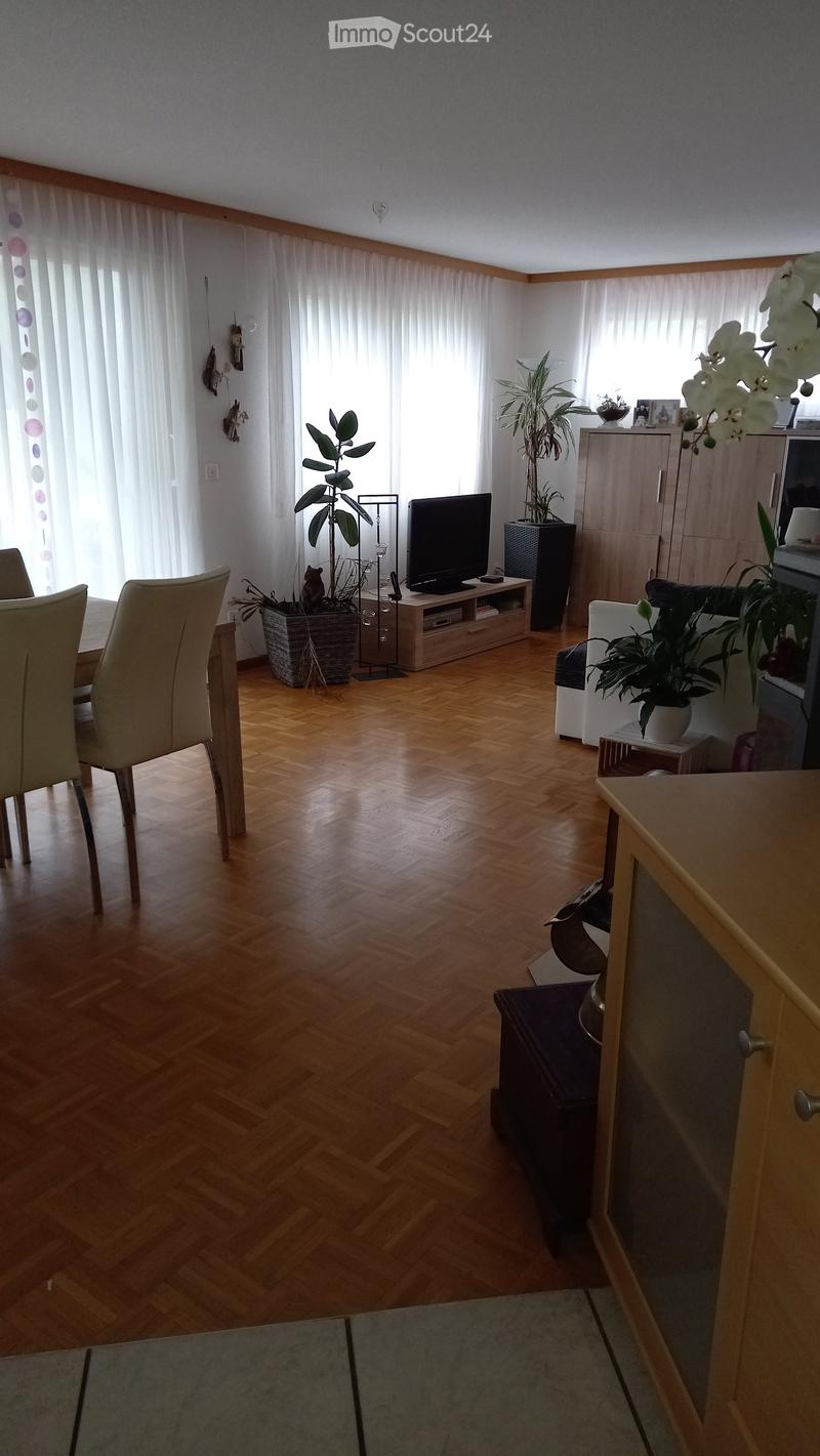 Bright living room with wooden flooring, large windows with white curtains, a sofa, a chair, a dining table, a television, and several plants.