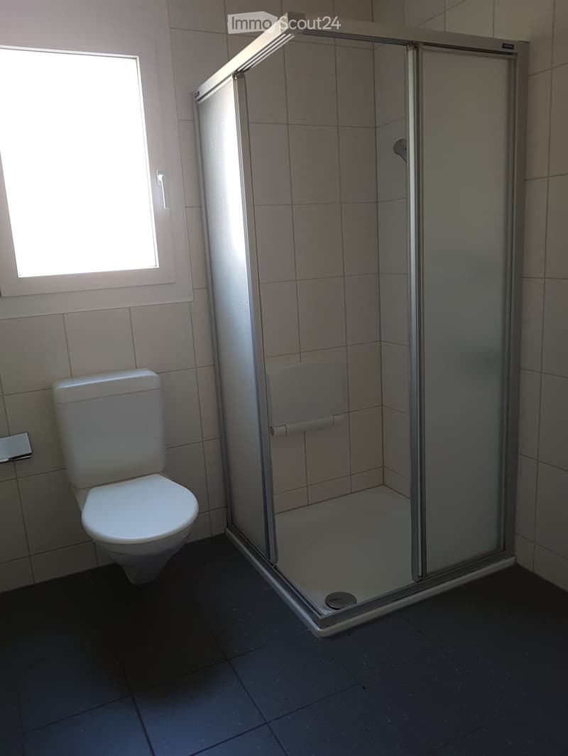 Modern bathroom with a white toilet and a glass-enclosed shower stall, featuring tiled walls and a window for natural light.