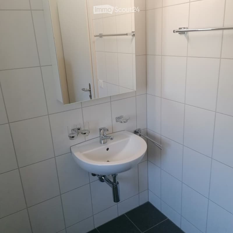 Modern bathroom with white tiled walls, a white sink with a chrome faucet, a mirror, and a towel rack.