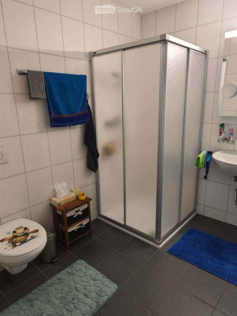 Modern bathroom with a glass-enclosed shower, toilet, sink, and wooden shelf holding toiletries. Towels are neatly arranged on a rack, and bath mats are placed on the floor.