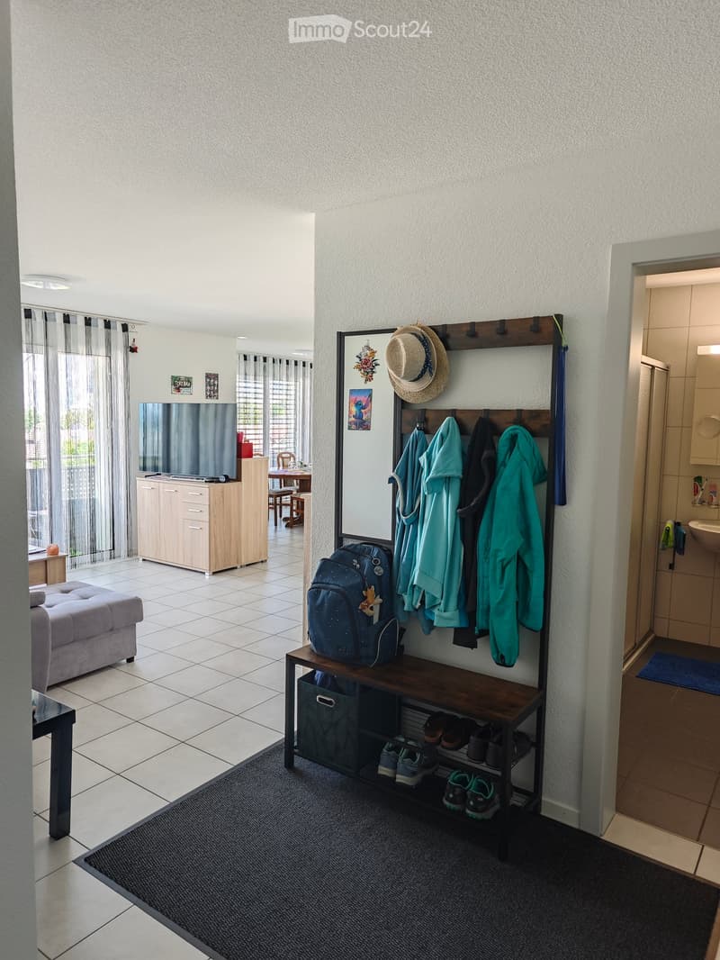 A well-lit hallway with a coat rack, shoe rack, sofa, small table, and a TV cabinet. The area is tidy and features a mix of modern and rustic furniture.