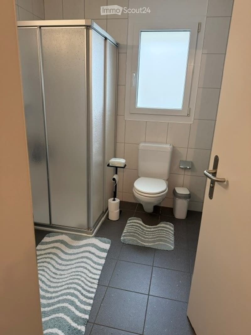 Modern bathroom with a toilet, shower, toilet paper holder, trash bin, and two rugs on the floor.