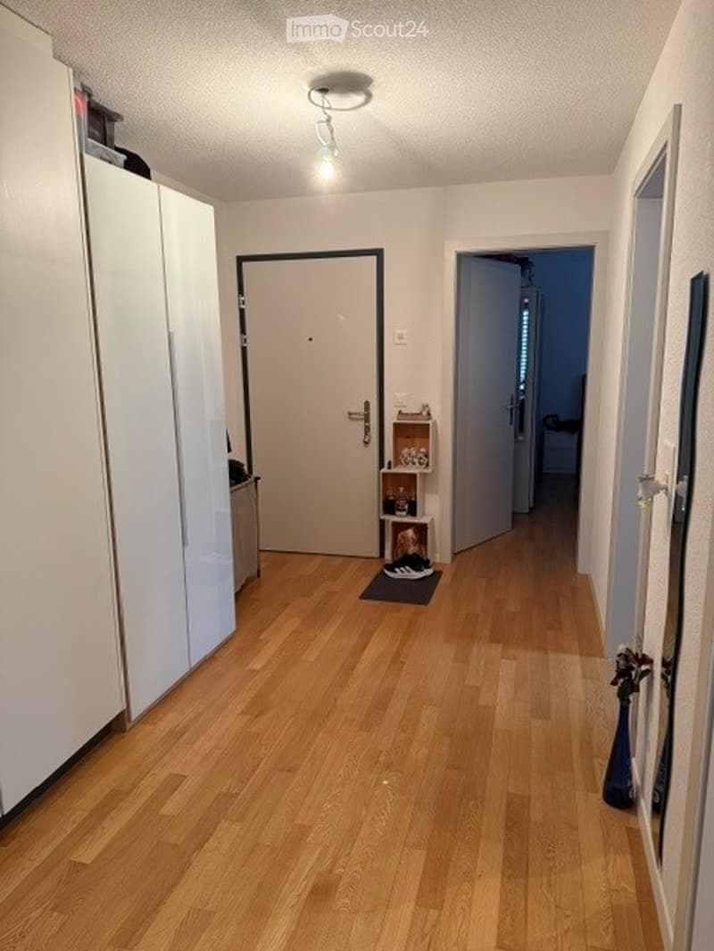A narrow hallway with wooden flooring, white walls, and a ceiling light. There are two doors, one leading to a room and the other to another area. A small shelf with items and a rug are visible near the center.