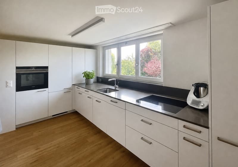 Modern kitchen with white cabinets, stainless steel appliances, and a wooden floor. Features an induction cooktop, blender, and a potted plant on the counter.