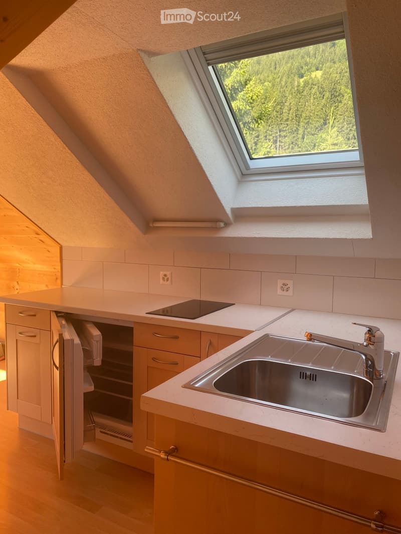 Modern kitchen with light wooden cabinets, stainless steel sink, dishwasher, and electric stove, featuring a skylight window with a view of greenery.
