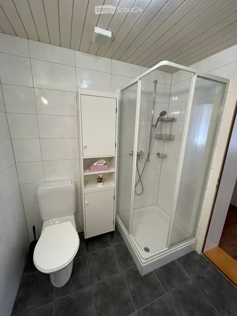 Modern bathroom with white tiles, a toilet, a glass-enclosed shower, and a white cabinet with shelves holding a tissue box and other items.