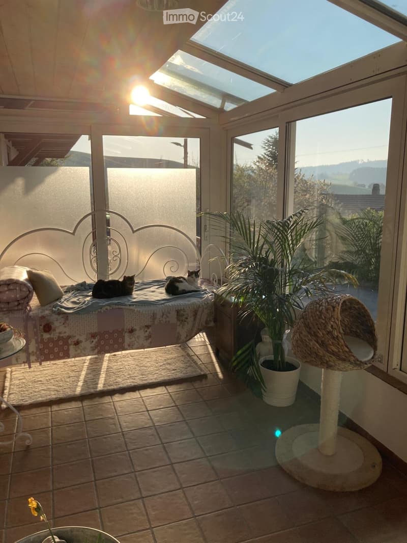 Bright sunroom with large windows and a view, featuring a cat bed, cat tree, wicker hanging basket, potted plants, and a small table with a chair.