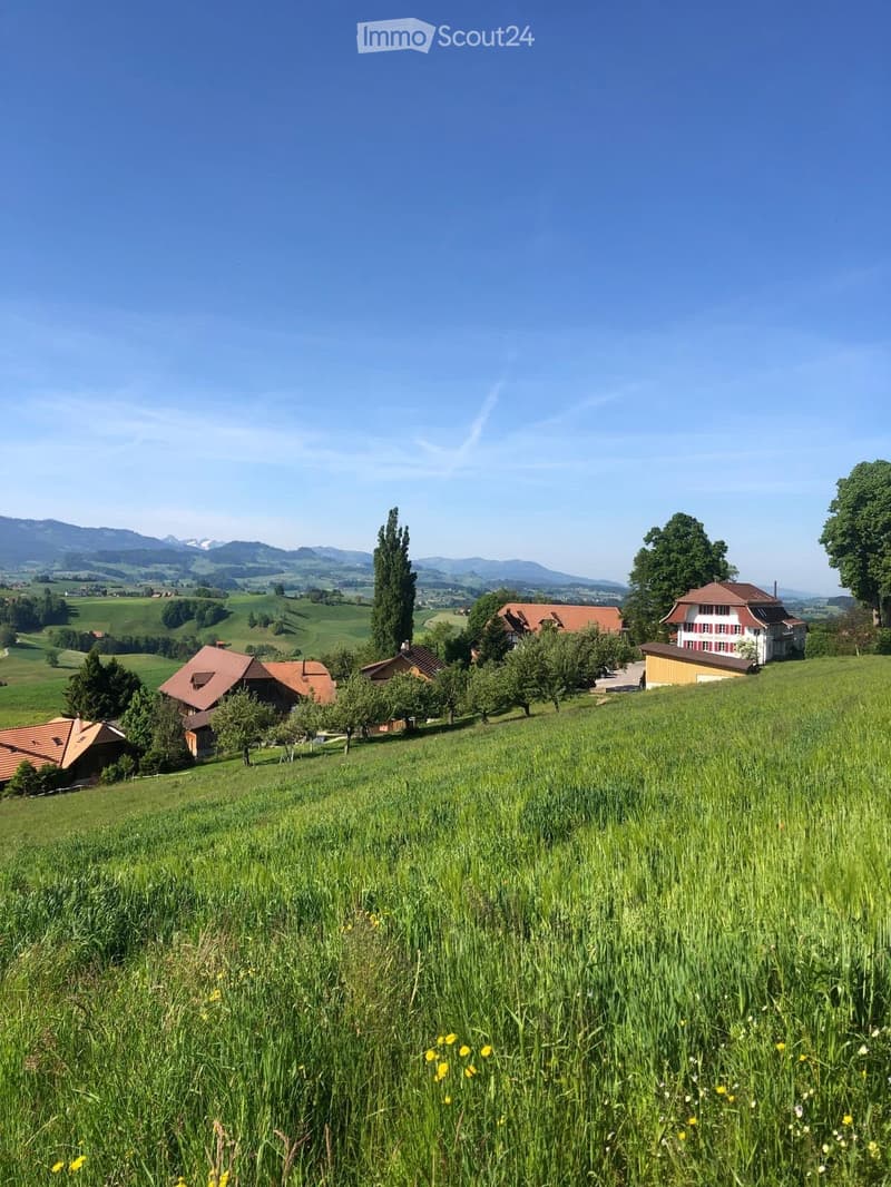 A panoramic view of a rural landscape with several houses scattered across green hills, surrounded by trees and mountains in the background.